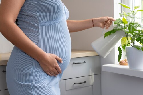 Is Elderberry Safe for Colds and Flu During Pregnancy
